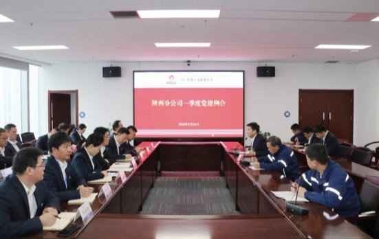 中国二冶陕西分公司召开一季度党建工作例会暨2025年度党支部书记抓基层党建工作述职评议会